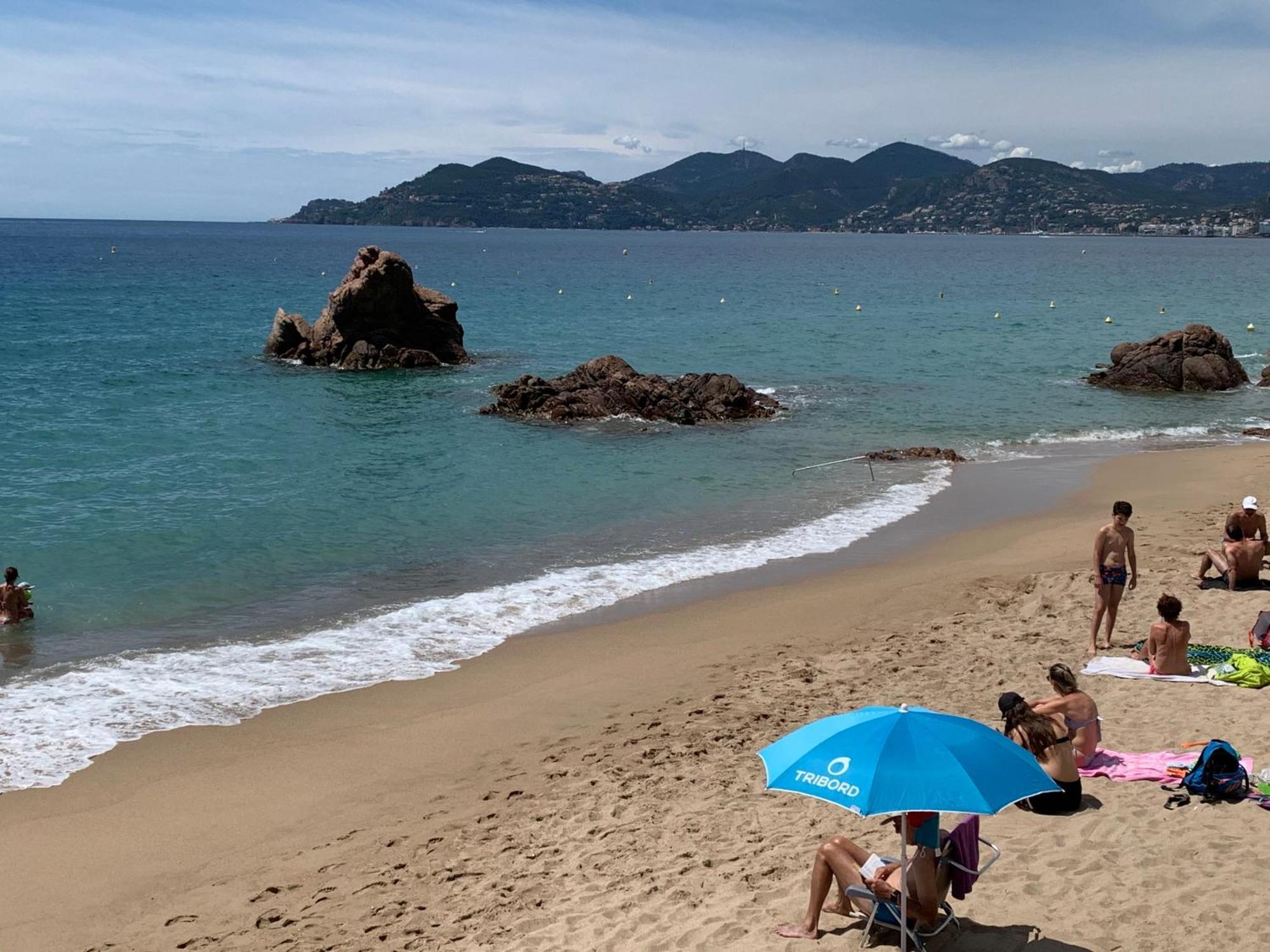 Le Palm Azur - Vue Mer Sur Les Iles De Lerins カンヌ エクステリア 写真
